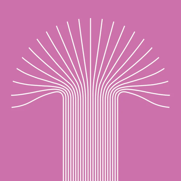 Triphala Plus (1) Triphala Plus (1)